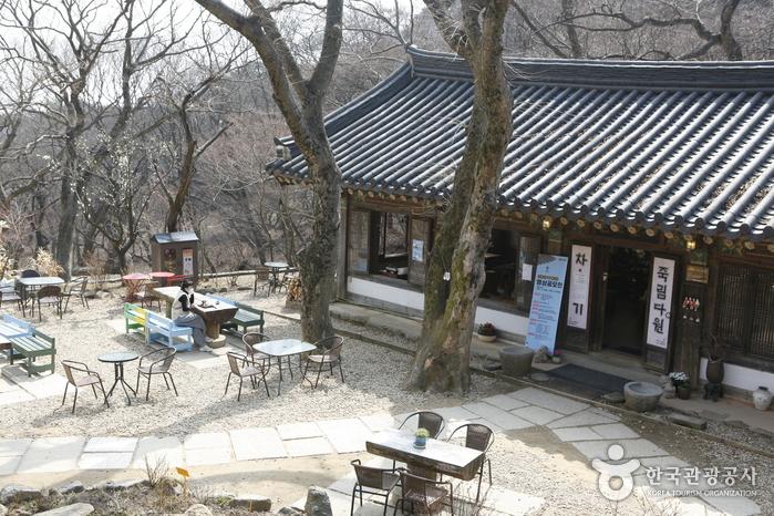 고즈넉한 전등사 죽림다원과 마당