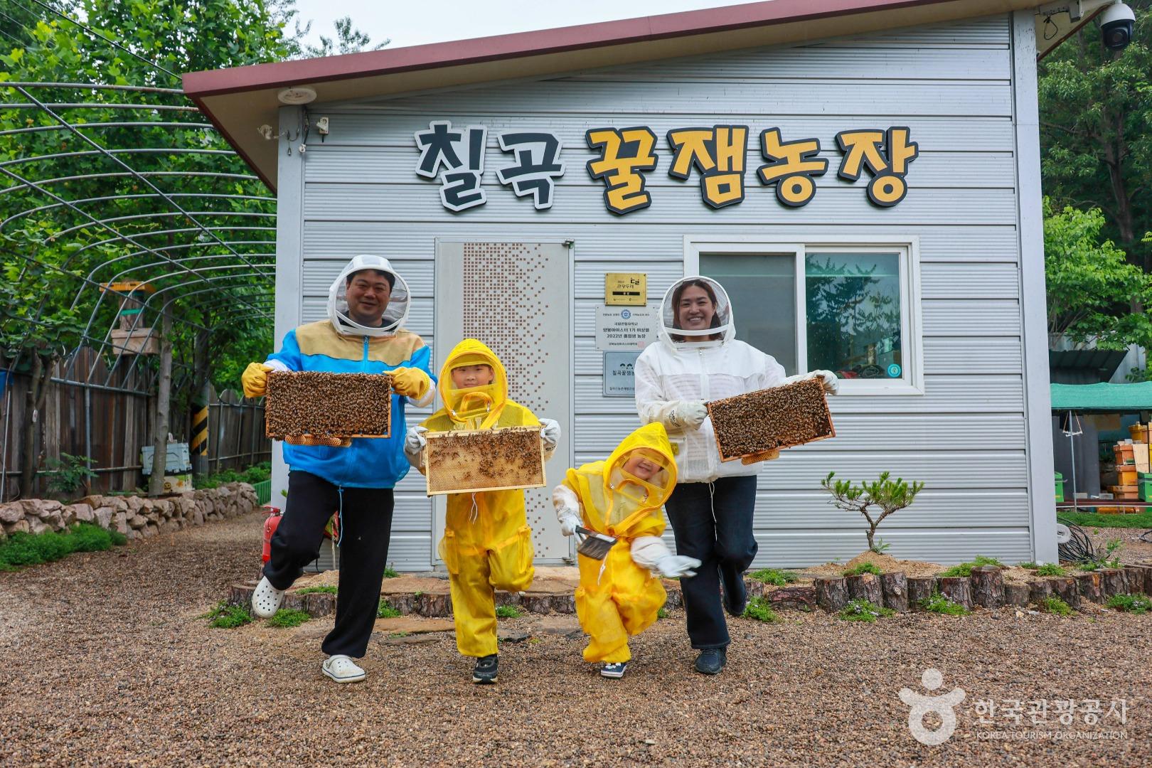 지구를 지키는 작은 친구 꿀벌과의 달콤한 여행, 칠곡 농업회사법인주식회사꿀벌인 > 여행기사 | 관광두레:대한민국 구석구석 지구를 지키는 작은... 