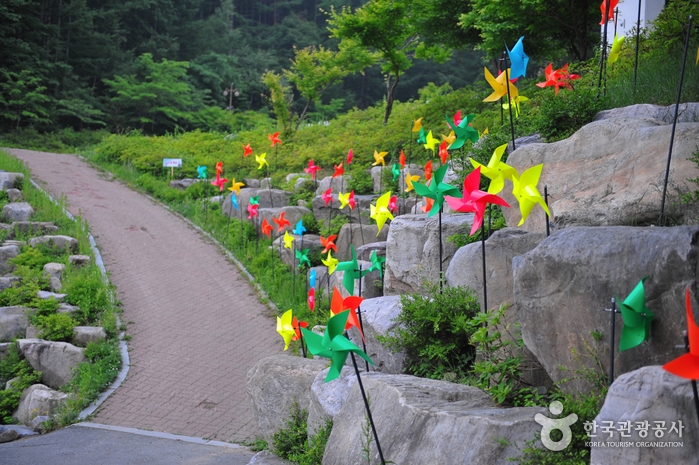태백산을 마주보고 걷다 여행 가볼만한곳