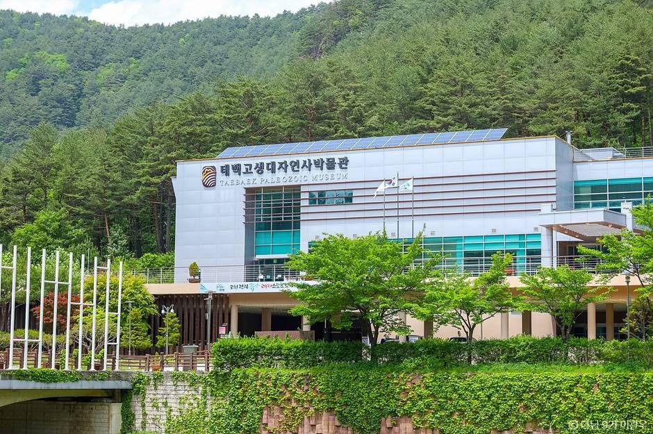 <span>태백</span> 고생대 자연사박물관