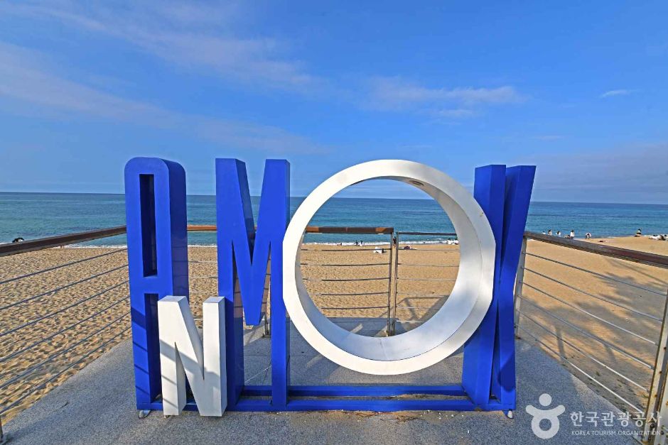 안목해변