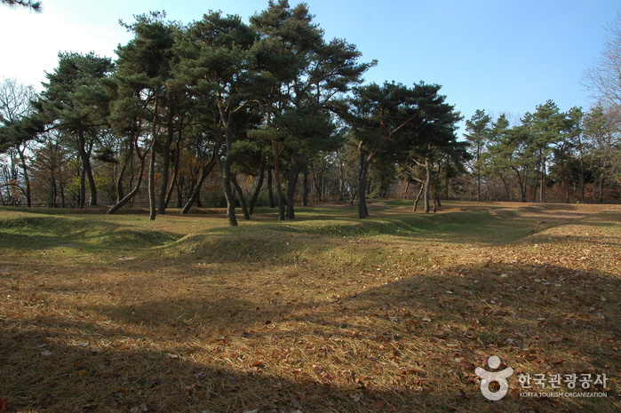부여의 연꽃이 잔잔한 백제투어 여행 가볼만한곳