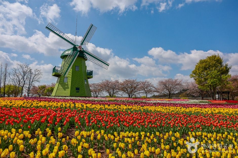 순천만습지 · 순천만국가정원 사진 6