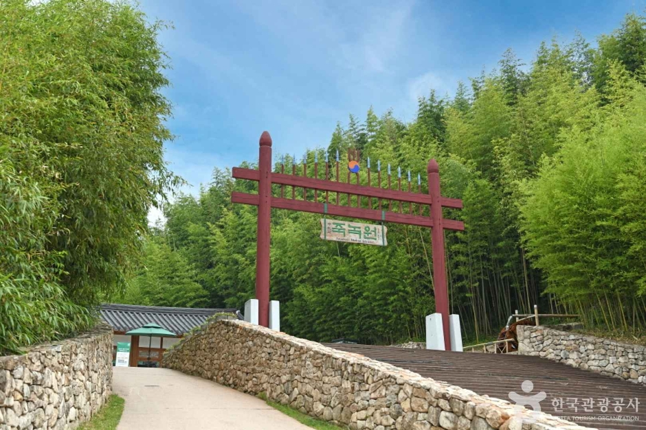 죽녹원 1