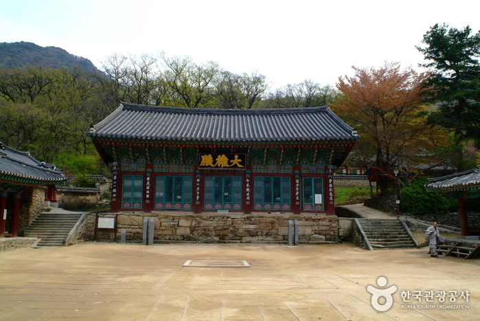 산사에서 21세기 밤하늘의 별과 과학체험을 함께 여행 가볼만한곳