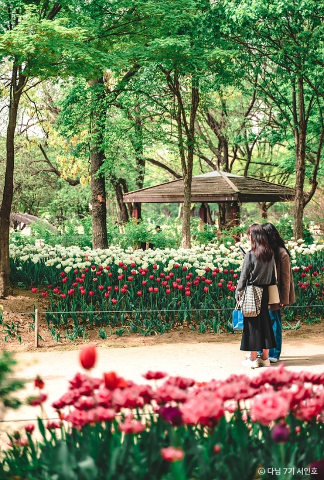 서울숲 19