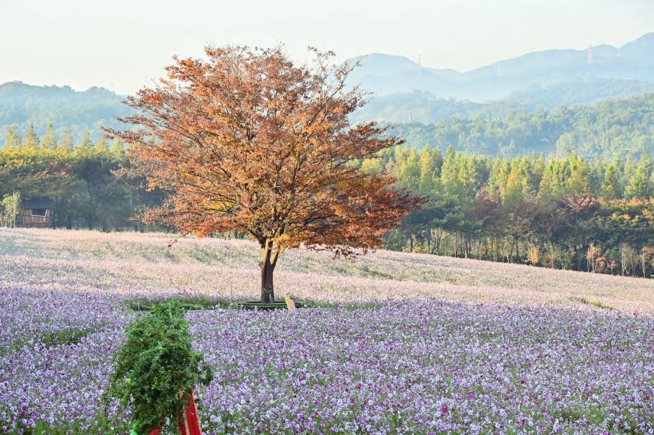 아그로랜드 태신목장 1