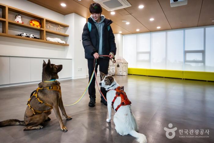 강아지와산책 오산시 애견여행지