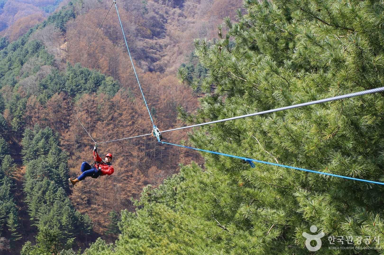 짜릿하게 신록의 계절을 즐기는 방법, 가평 ‘브릿지짚라인’> 여행기사 | 추천! 가볼만한곳:대한민국 구석구석