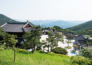 위에서 내려다 본 동의보감촌 전경사진