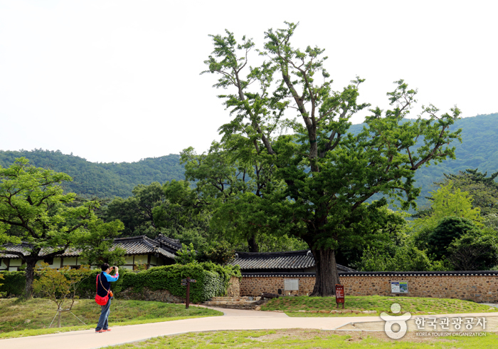 해남 땅끝에서 1박 2일 코스 여행 가볼만한곳