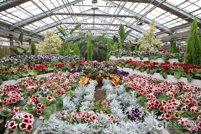 온천의 고장에서 즐기는 스파와 캠핑 여행 가볼만한곳