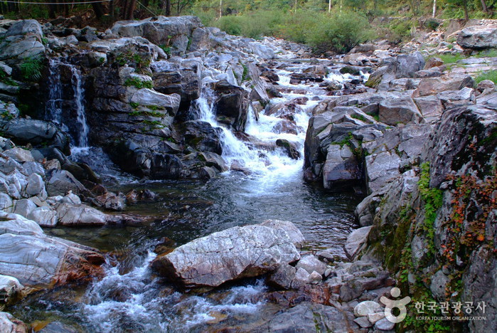 오감만족 평창 봉평 여행 여행 가볼만한곳