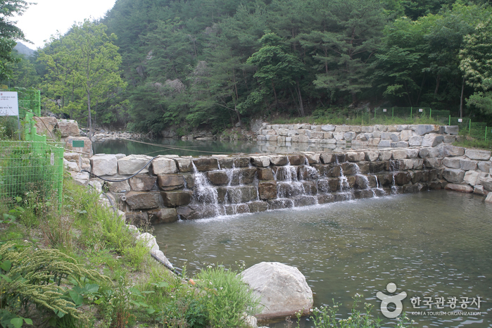 선유동계곡(산청)> 여행지 :대한민국 구석구석 선유동계곡(산청)> 여행지 :대한민국 구석구석 