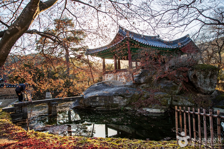 청암정 경상 애견여행지