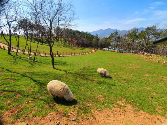 거제도 일상 회복 청춘 투어, 지친 나를 위로하고 치유하는 여행 여행 가볼만한곳
