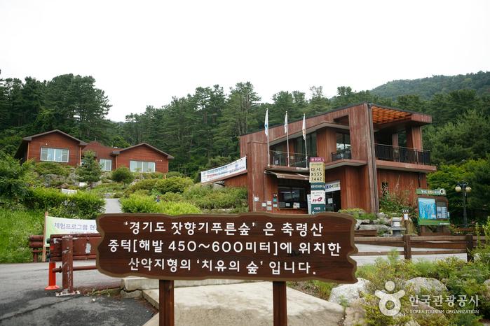 산자락에 자리한 방문자센터