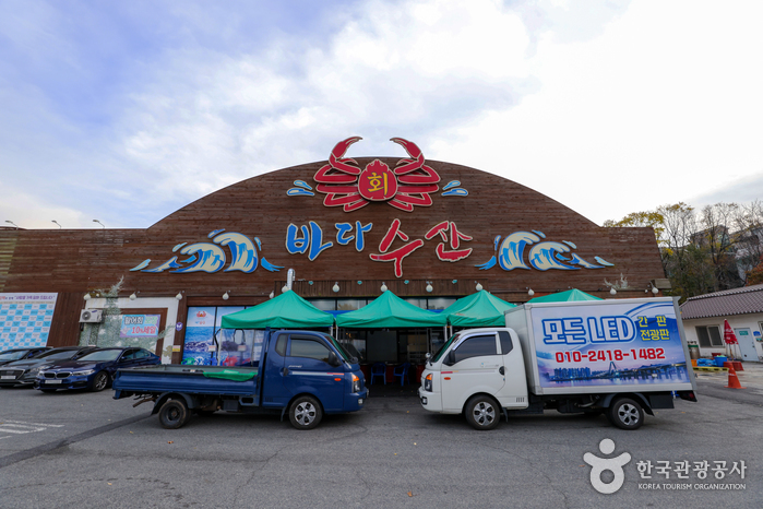 바다수산> 여행지 :대한민국 구석구석 바다수산> 여행지 :대한민국 구석구석 