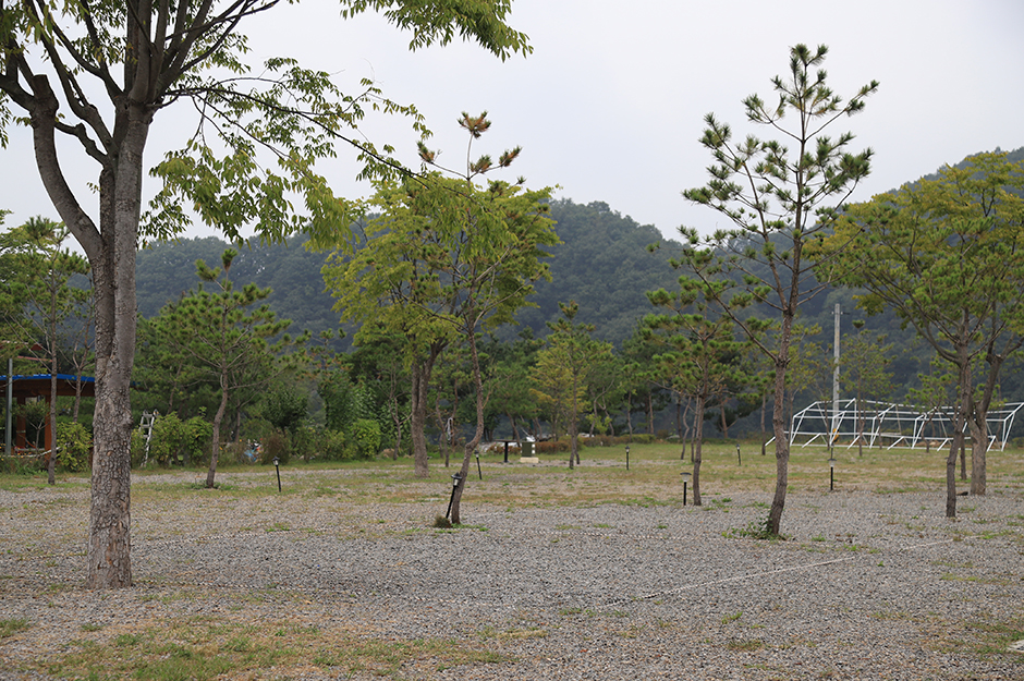삼화리 동광 캠핑장> 여행지 :대한민국 구석구석 삼화리 동광 캠핑장> 여행지 :대한민국 구석구석 