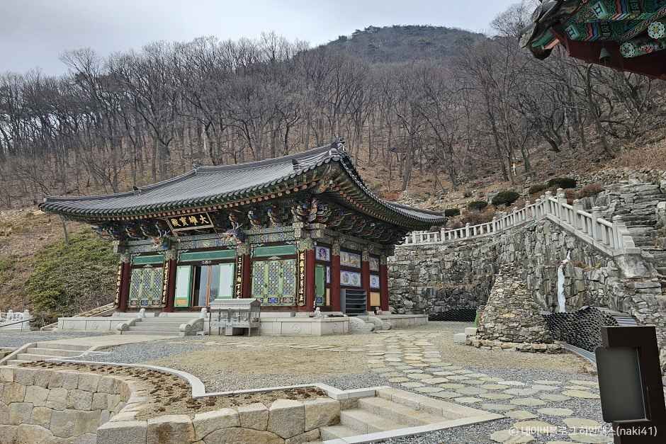 용덕사> 여행지 :대한민국 구석구석 용덕사> 여행지 :대한민국 구석구석 