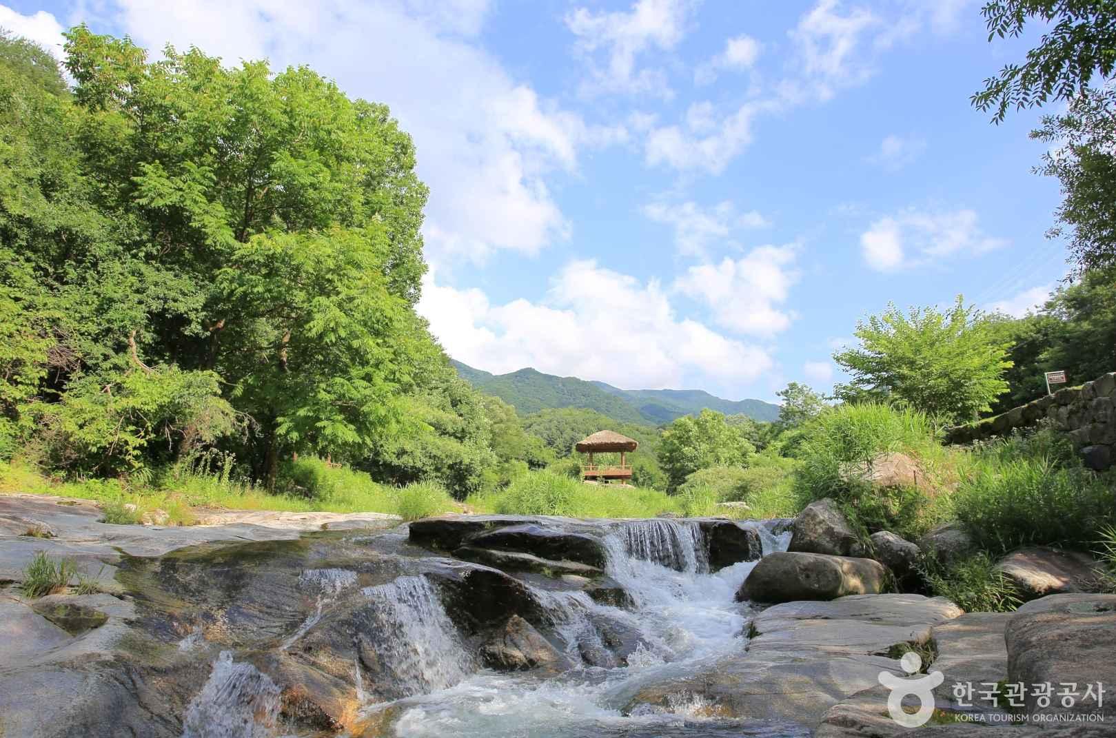 삼일계곡의 명당, 화음동정사지