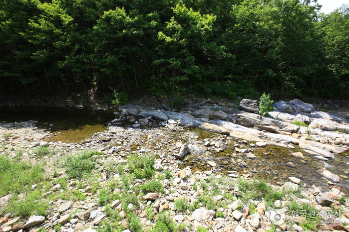 구불구불 고개 너머 만나는 계곡과 휴양림 여행 가볼만한곳