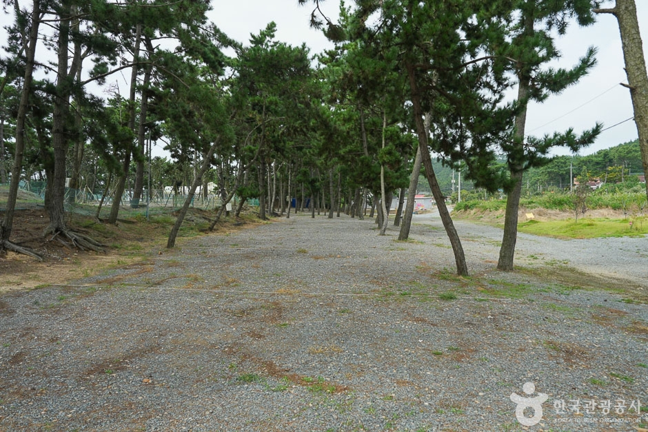 어은돌힐링야영장> 여행지 :대한민국 구석구석 어은돌힐링야영장> 여행지 :대한민국 구석구석 