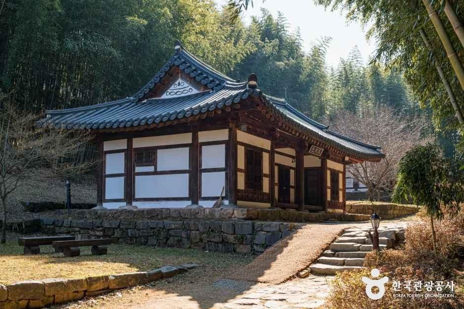 죽녹원 2