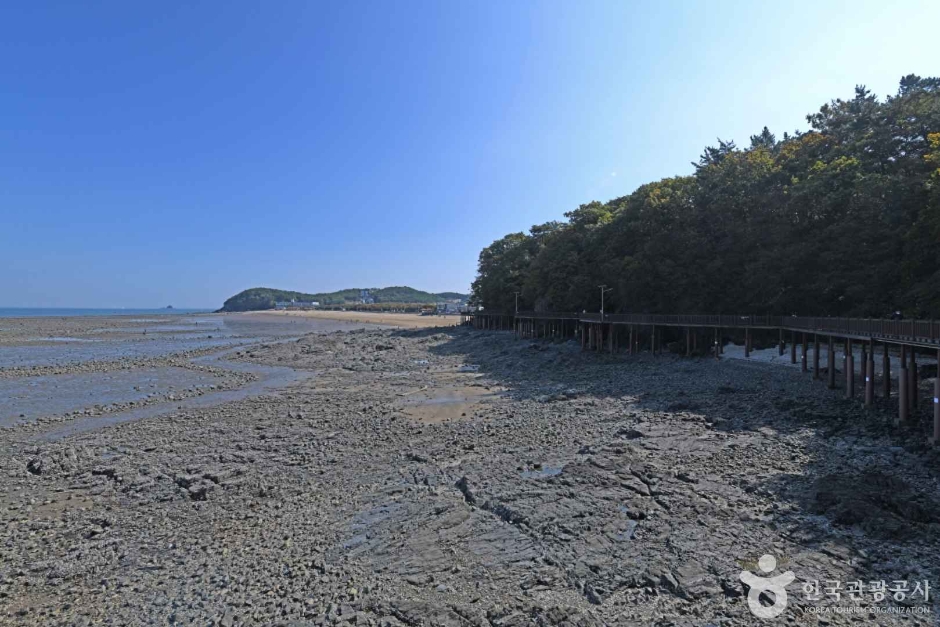 영흥도 십리포해변 2
