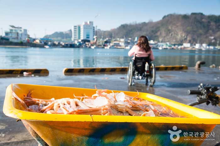블루로드 따라 바다 여행, 경북 영덕> 여행기사 | 열린 관광 모두의 여행:대한민국 구석구석