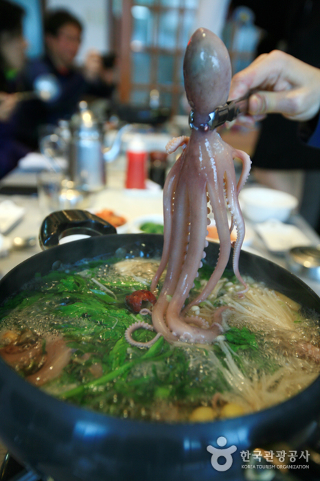 살짝 익힌 뻘낙지 한 마리