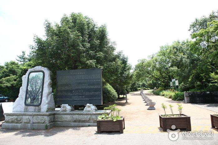 몸과 마음을 치유하는 에코 테라피 여행 가볼만한곳