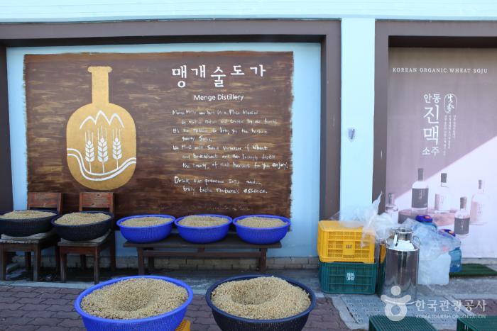 국내에서 유일하게 밀소주를 빚는 맹개술도가
