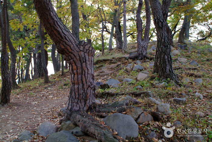 천년 전 신라인들을 만나다 여행 가볼만한곳