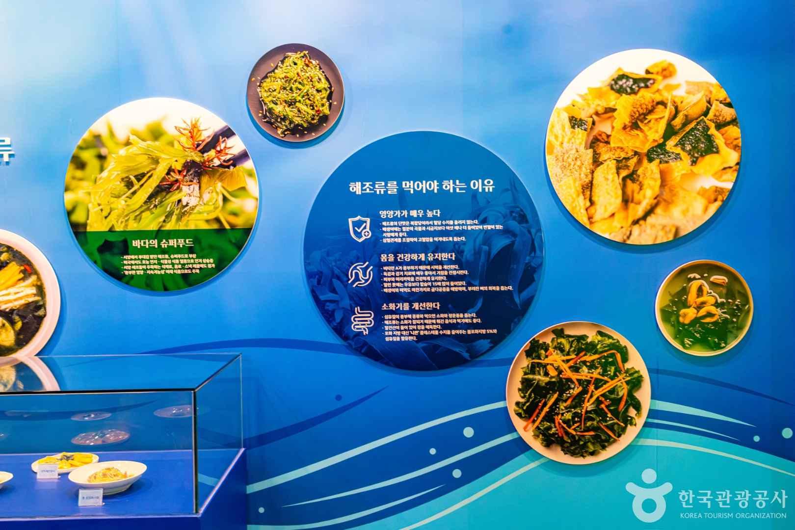 해조류센터의 모습