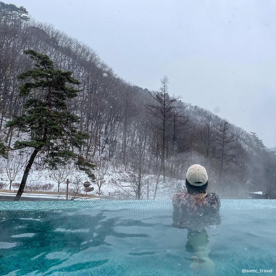 제천 포레스트 리솜 해브나인