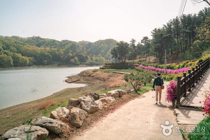 강을 따라 보이는 봄의 부소담악