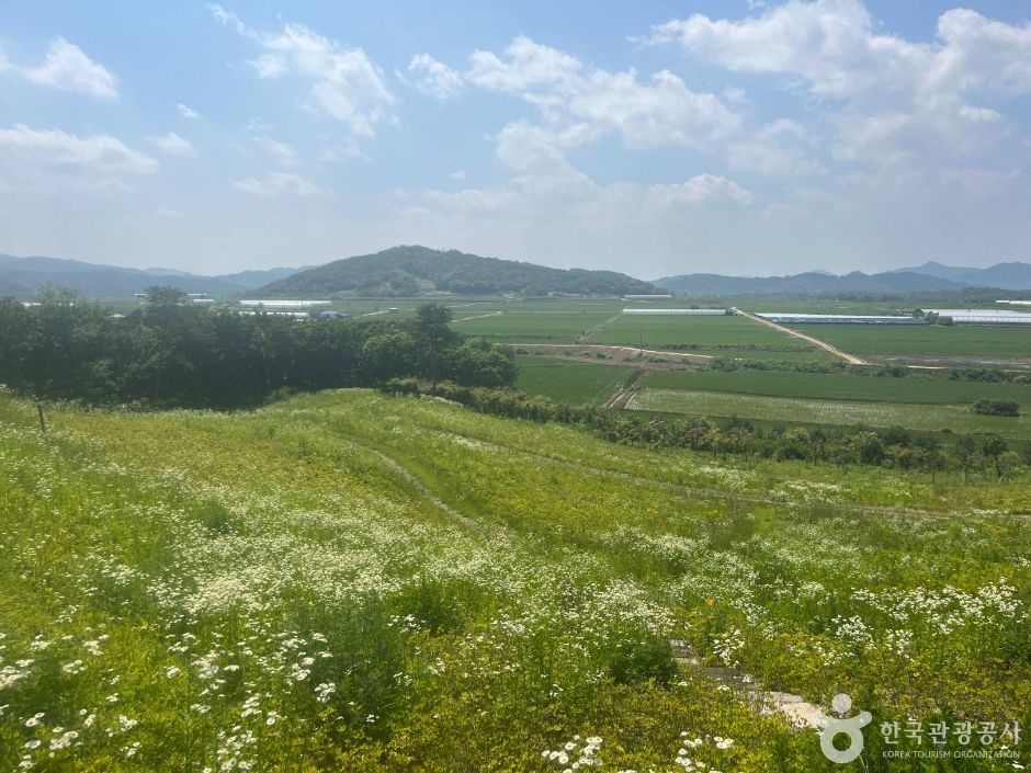 [DMZ 평화의 길] 백마고지 코스> 여행지 :대한민국 구석구석 [DMZ 평화의 길] 백마고지 코스> 여행지 :대한민국 구석구석 