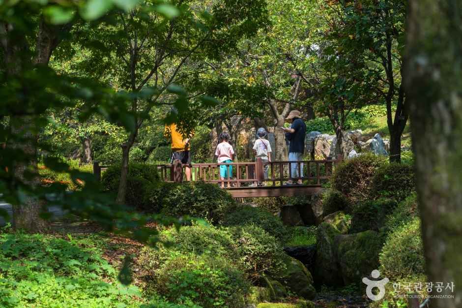 용인자연휴양림 2