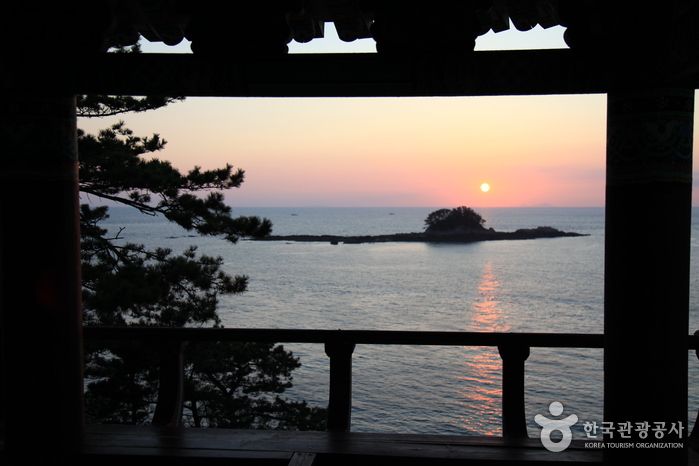 생태 관광의 제 맛을 보고 싶다면 서천으로! 여행 가볼만한곳