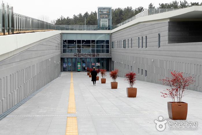 103년 만에 선보이는 왕의 목관, 국립익산박물관> 여행기사 | 추천!... 왕의 목관,  국립익산박물관> 여행기사 | 추천! 가볼만한곳:대한민국 구석구석
