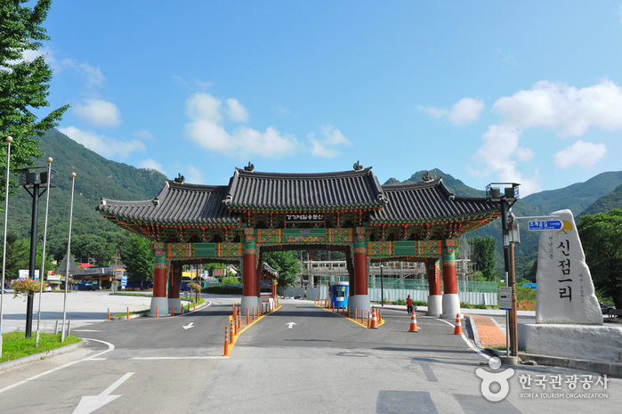 계곡을 오르며 물이 되고 숲을 거닐며 한그루 나무가 되다 여행 가볼만한곳