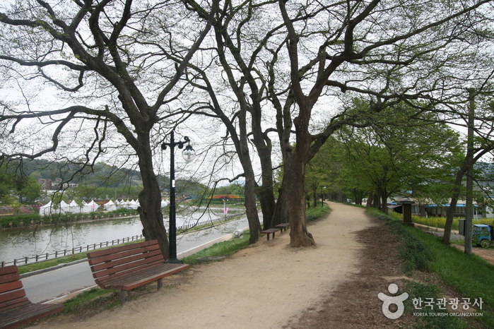 대나무 숲에서 즐기는 캠핑여행 여행 가볼만한곳