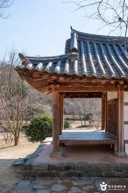죽녹원 3