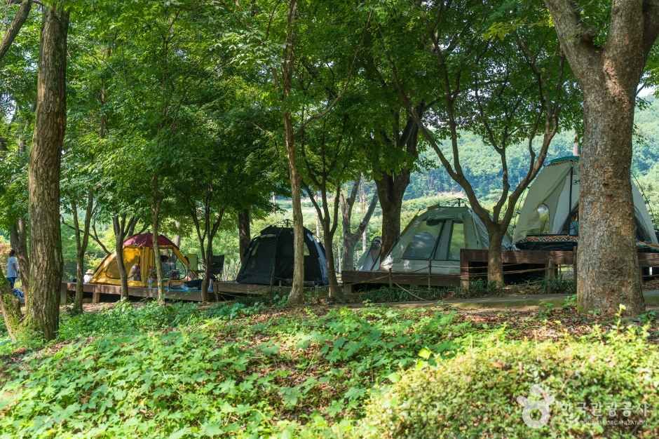 용인자연휴양림 3