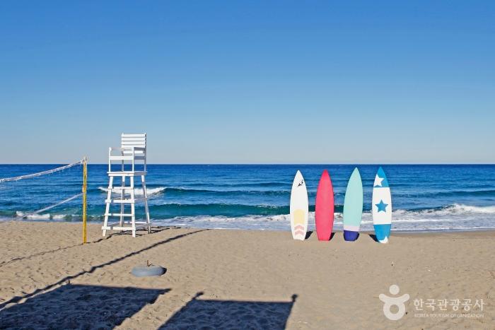 비치 발리볼 네트와 해변을 지키고 선 보드