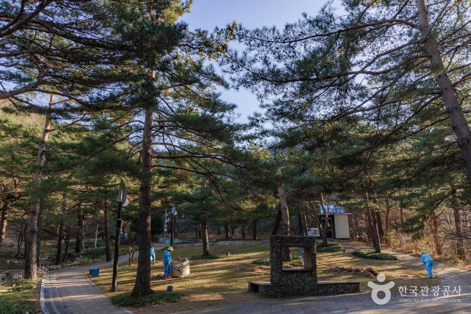 강릉솔향수목원