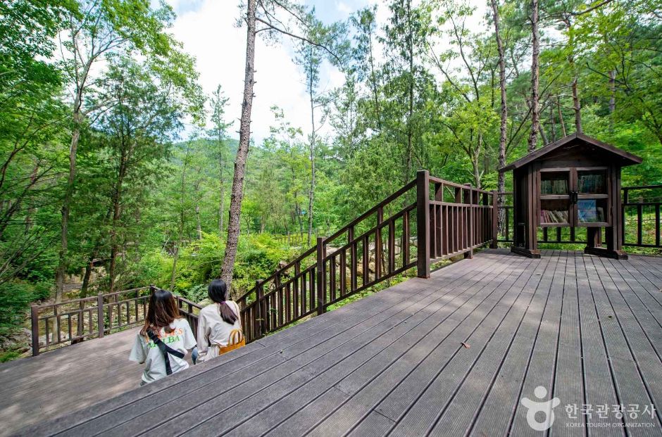 부산 치유의 숲> 여행지 :대한민국 구석구석 부산 치유의 숲> 여행지 :대한민국 구석구석 