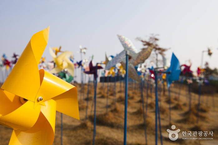 파주, 건강하고 맛있는 장단콩 여행 가볼만한곳