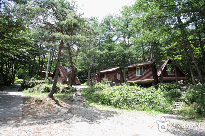 금빛 원숭이가 뛰놀던 산을 오르다 여행 가볼만한곳